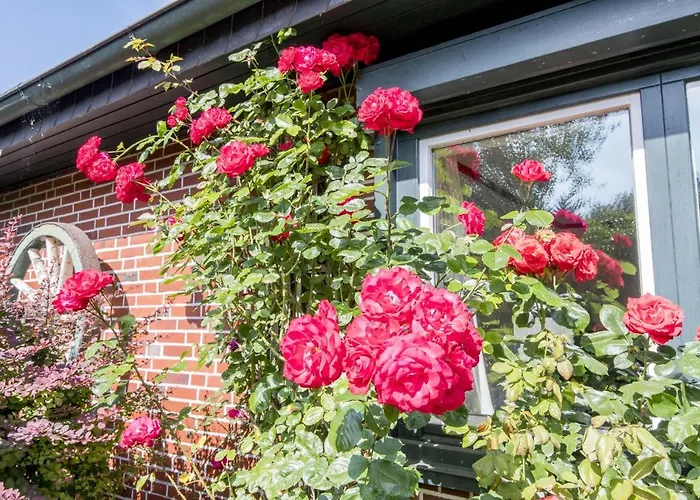 Ferienhaus Haus Norderstrasse 77